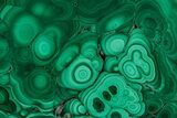 Flowery Polished Malachite Slab - DR Congo #350825-1